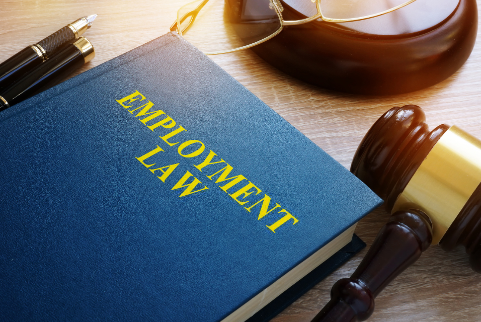 Employment law in Brisbane